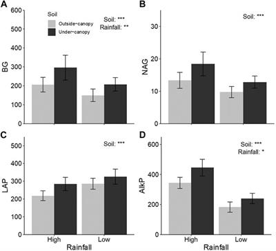 Responses of Soil Microbial Community and Enzyme Activities to Shrub Species Artemisia gmelinii in Relation to Varying Rainfall in a Semiarid Land, SW China